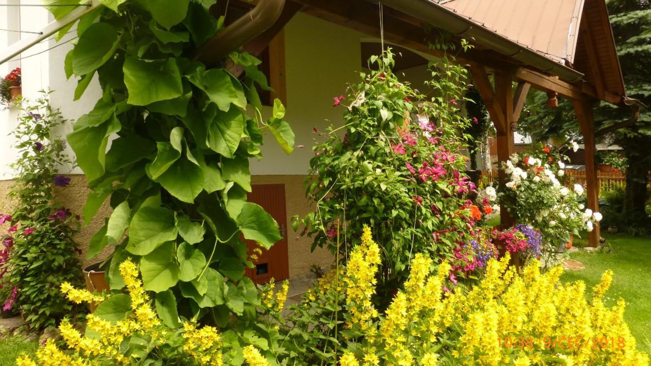 U Votapku Apartment Nove Hute Exterior photo